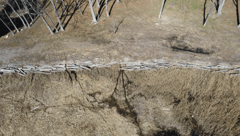 Top-down aerial of log wall and backfill extent