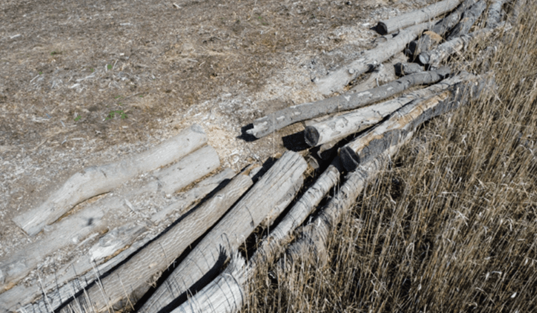 Log wall — close-up detail