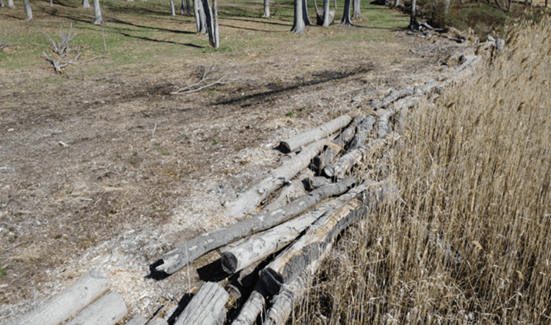 Log wall — full view from ground level