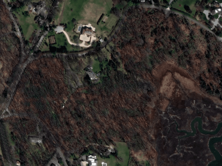 Satellite aerial October 2022 — full tree canopy intact