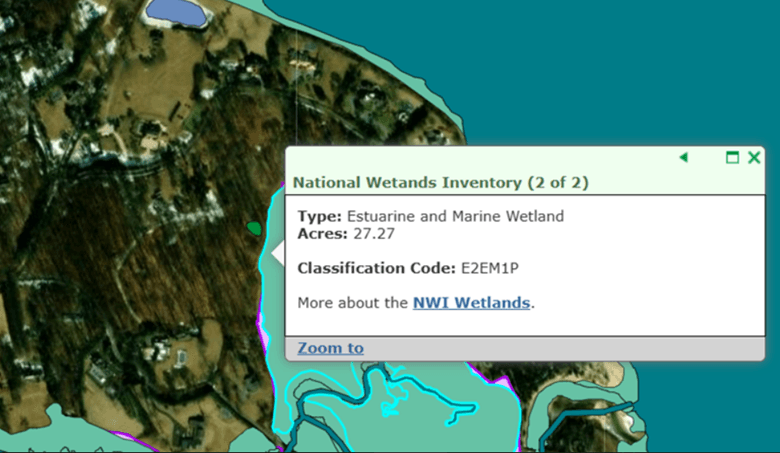 National Wetlands Inventory map showing E2EM1P classification