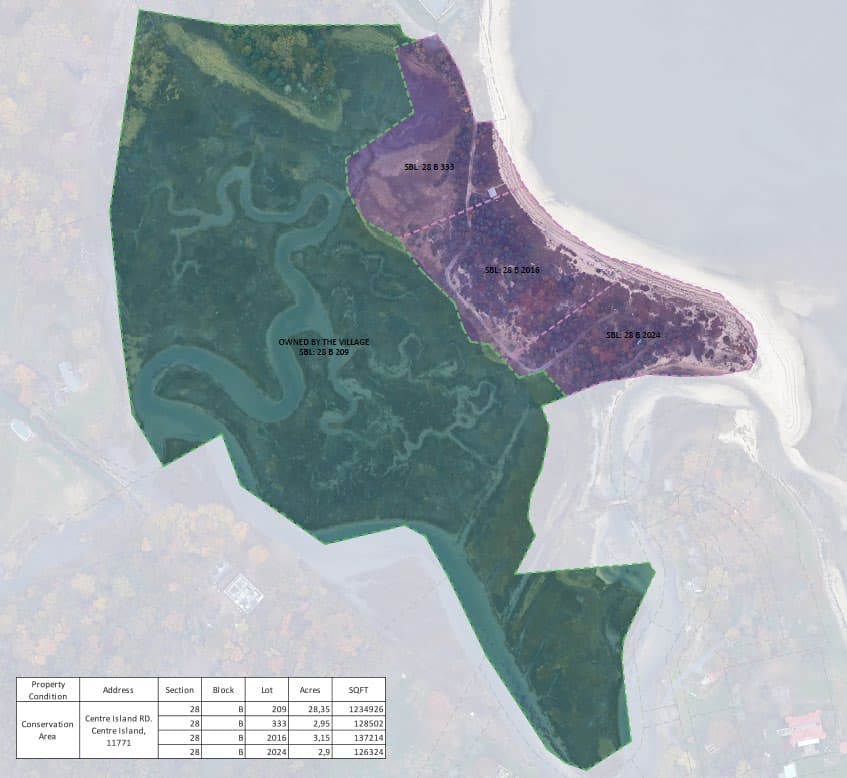 Parcel map showing Village-owned SBL 28 B 209 (green) and adjacent Jonas parcel SBL 28 B 333 (purple)