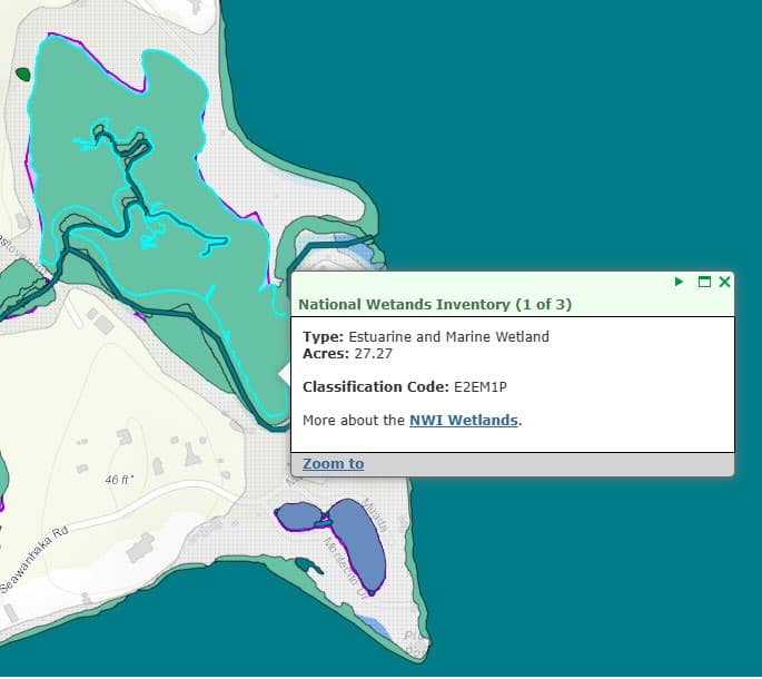 National Wetlands Inventory map showing E2EM1P classification at Great Meadow Creek