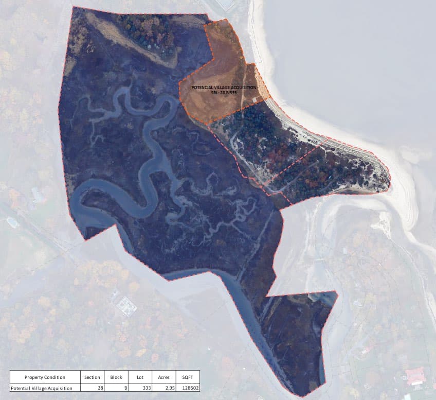Parcel map showing Jonas property SBL 28 B 333 as potential Village acquisition