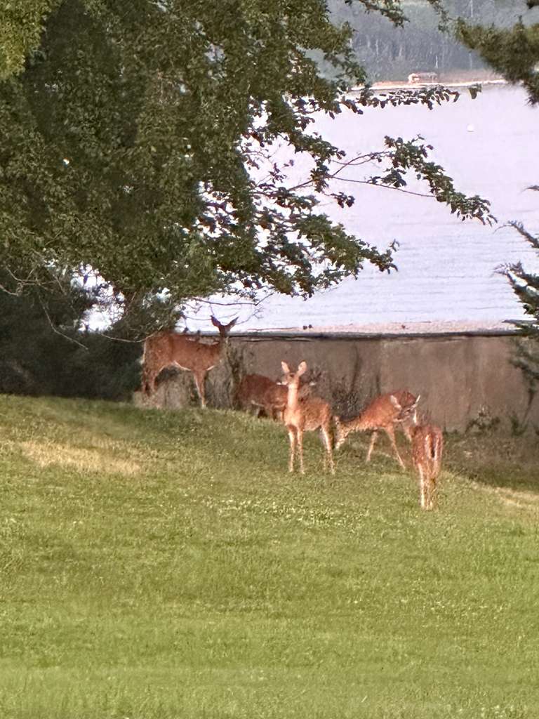 Centre Island resident photo
