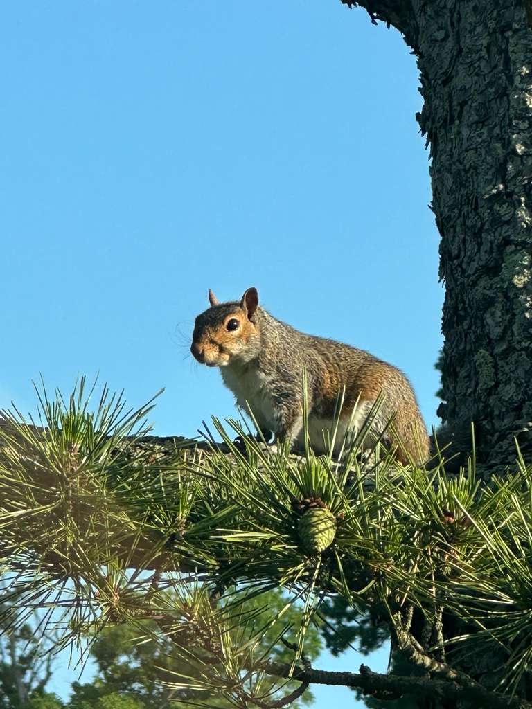 Centre Island resident photo